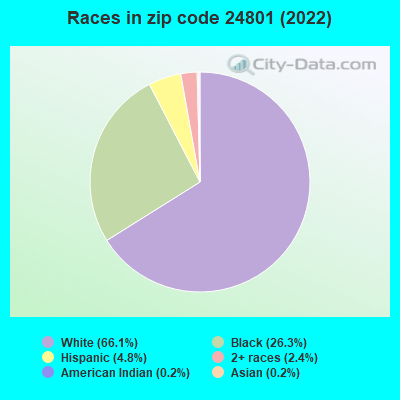 Races in zip code 24801 (2022)