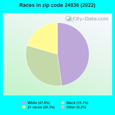 Races in zip code 24836 (2022)