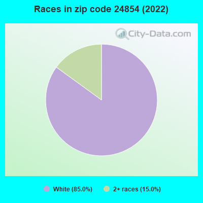 Races in zip code 24854 (2022)