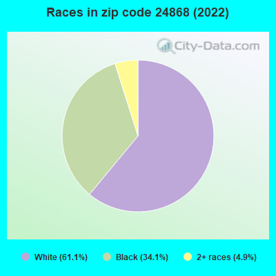 Races in zip code 24868 (2022)