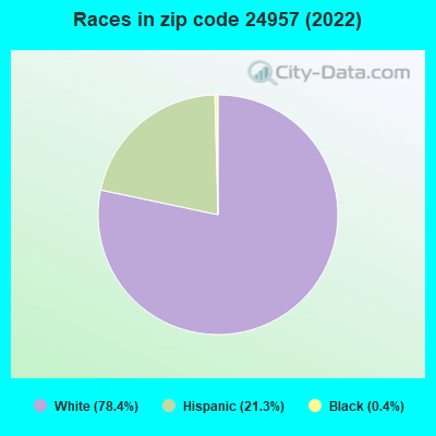 Races in zip code 24957 (2022)