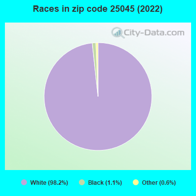 Races in zip code 25045 (2022)
