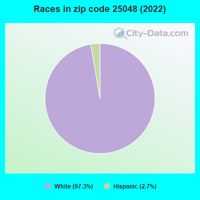 Races in zip code 25048 (2022)