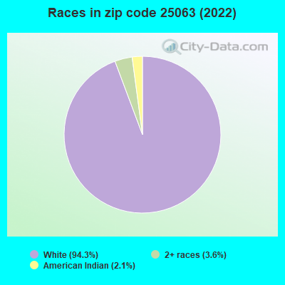 Races in zip code 25063 (2022)