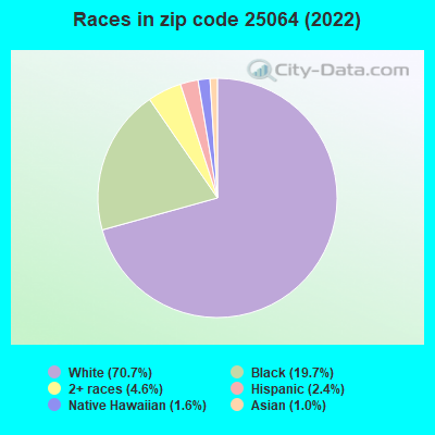 Races in zip code 25064 (2022)