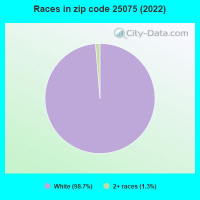 Races in zip code 25075 (2022)