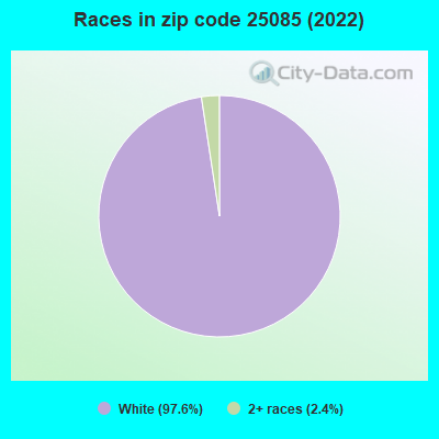 Races in zip code 25085 (2022)