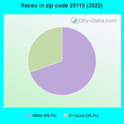 Races in zip code 25115 (2022)
