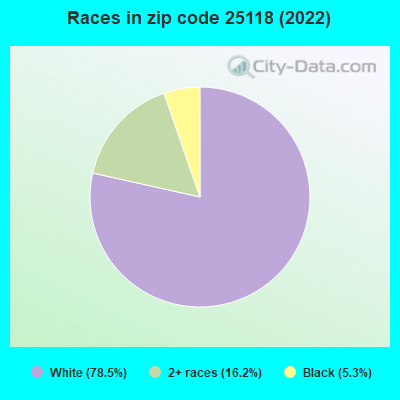 Races in zip code 25118 (2022)