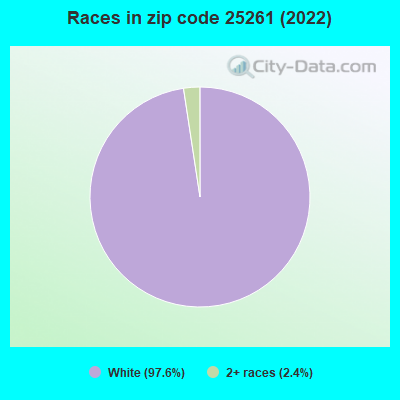 Races in zip code 25261 (2022)