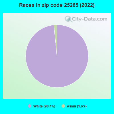 Races in zip code 25265 (2022)