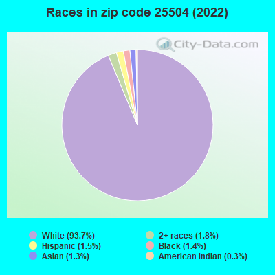 Races in zip code 25504 (2022)