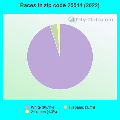 Races in zip code 25514 (2022)