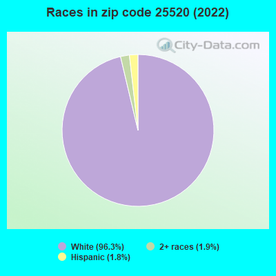 Races in zip code 25520 (2022)