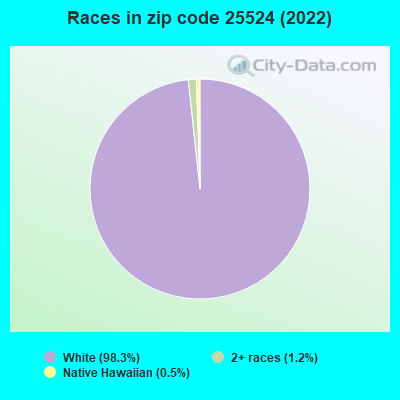 Races in zip code 25524 (2022)