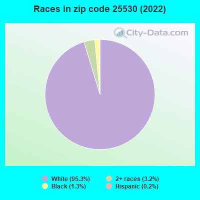 Races in zip code 25530 (2022)