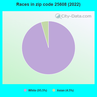 Races in zip code 25608 (2022)
