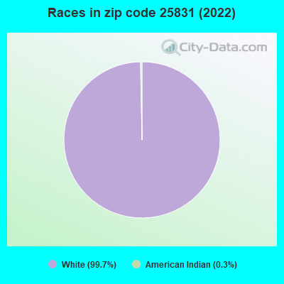 Races in zip code 25831 (2022)