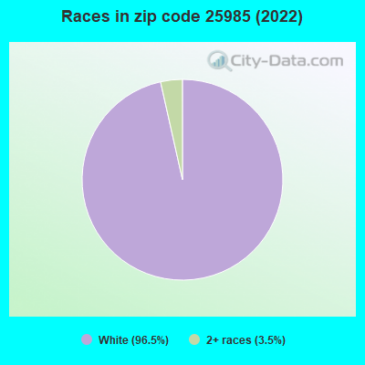 Races in zip code 25985 (2022)