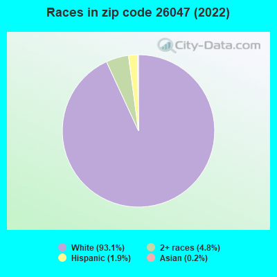 Races in zip code 26047 (2022)