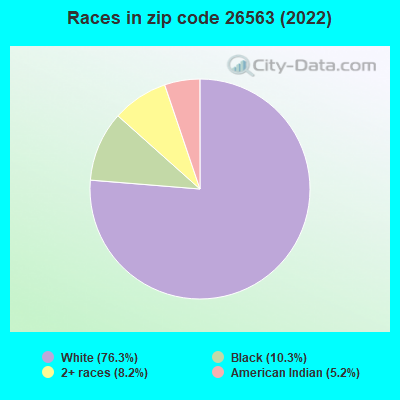 Races in zip code 26563 (2022)