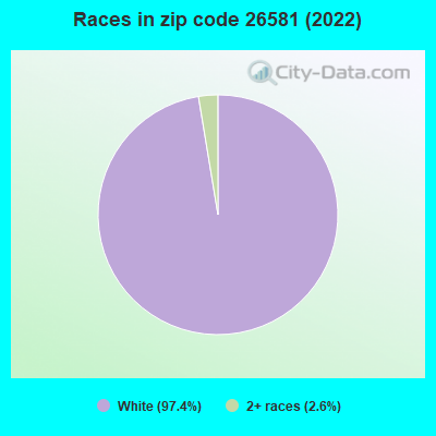 Races in zip code 26581 (2022)