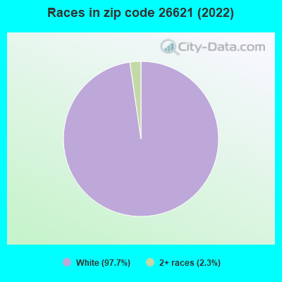 Races in zip code 26621 (2022)