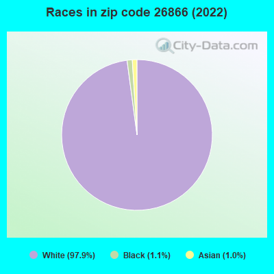 Races in zip code 26866 (2022)