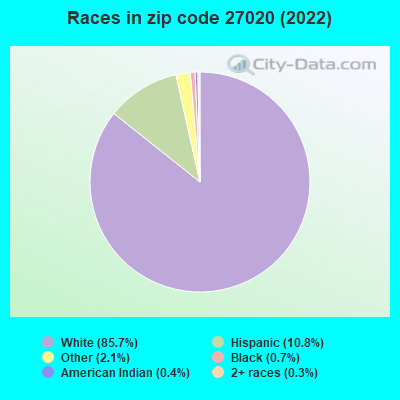 Races in zip code 27020 (2022)