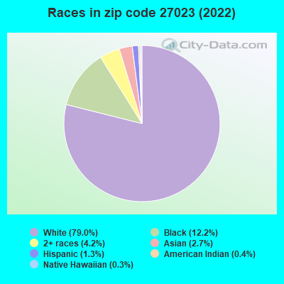 Races in zip code 27023 (2022)