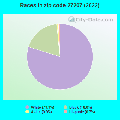 Races in zip code 27207 (2022)