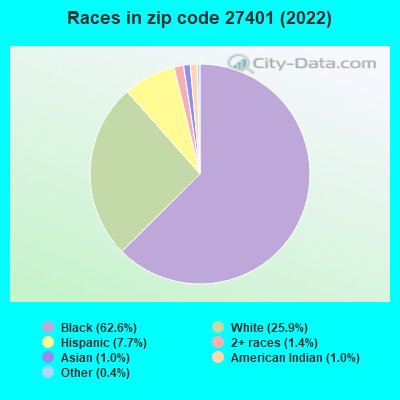 Races in zip code 27401 (2022)