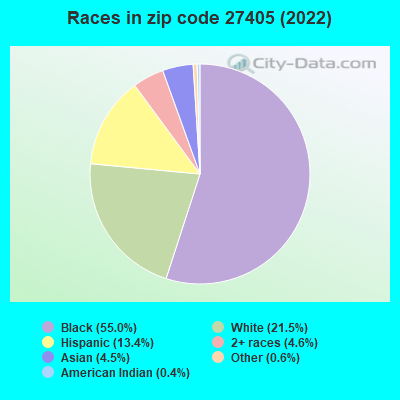 Races in zip code 27405 (2022)
