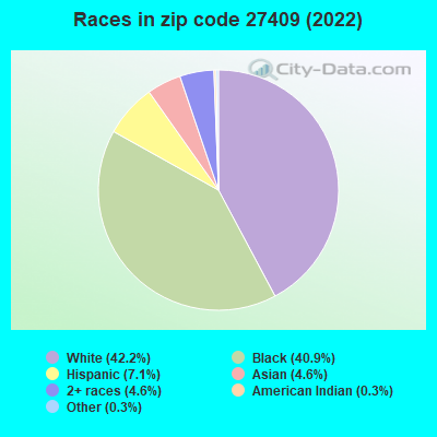 Races in zip code 27409 (2022)