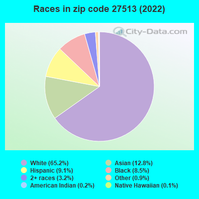 Races in zip code 27513 (2022)