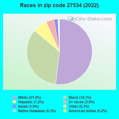 Races in zip code 27534 (2022)