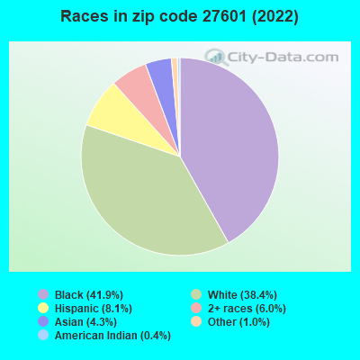 Races in zip code 27601 (2022)