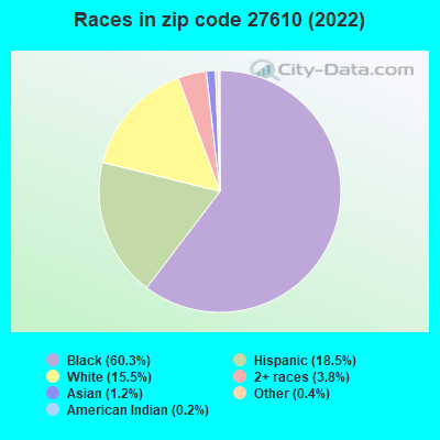 Races in zip code 27610 (2022)