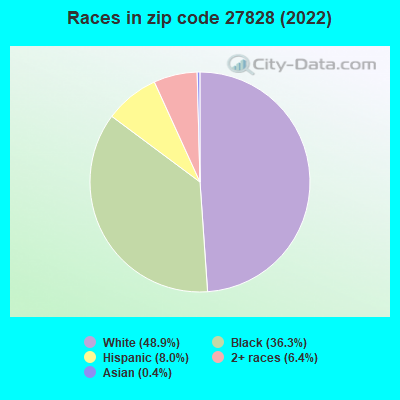 Races in zip code 27828 (2022)