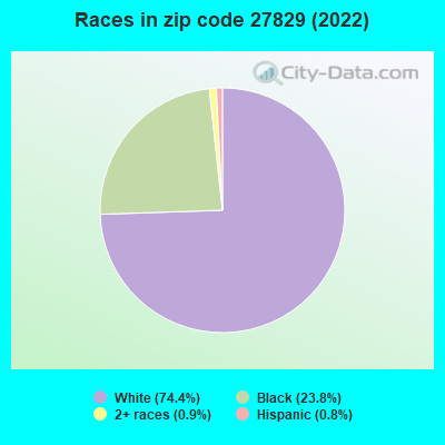 Races in zip code 27829 (2022)