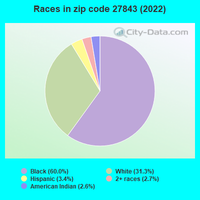 Races in zip code 27843 (2022)
