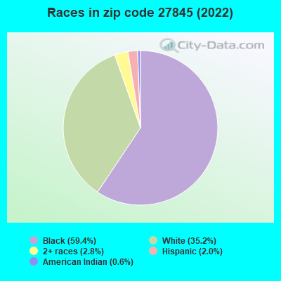 Races in zip code 27845 (2022)