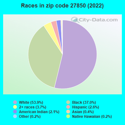 Races in zip code 27850 (2022)