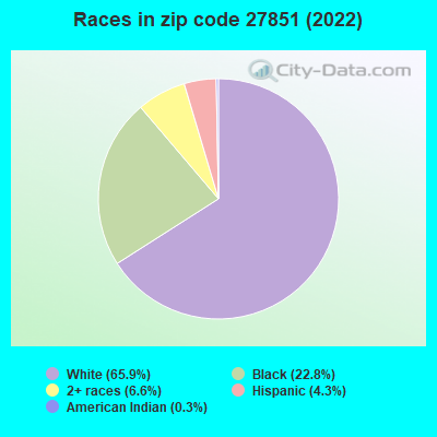 Races in zip code 27851 (2022)