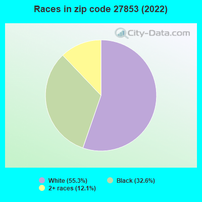 Races in zip code 27853 (2022)