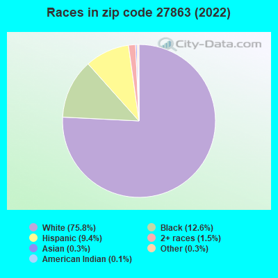 Races in zip code 27863 (2022)