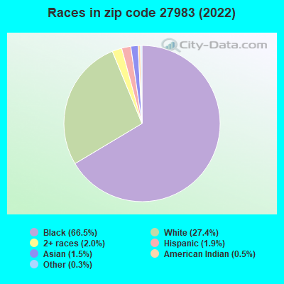 Races in zip code 27983 (2022)