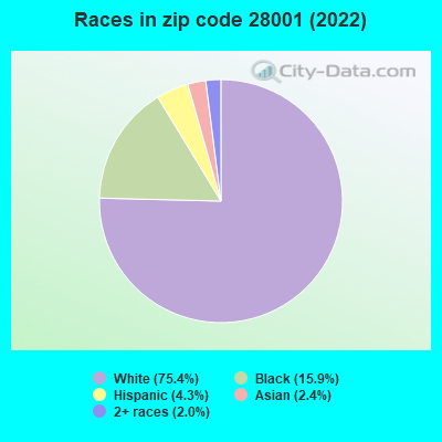 Races in zip code 28001 (2022)
