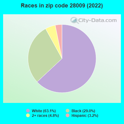 Races in zip code 28009 (2022)