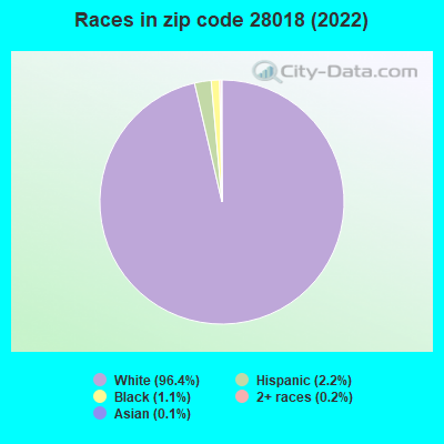 Races in zip code 28018 (2022)